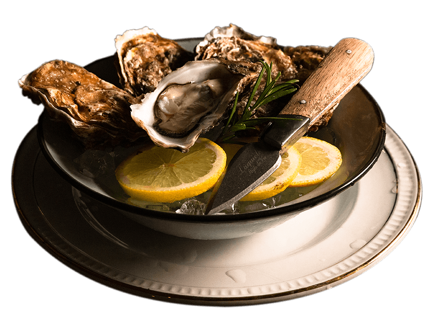 Degustacijski meni Fresh oysters on ice with lemon slices