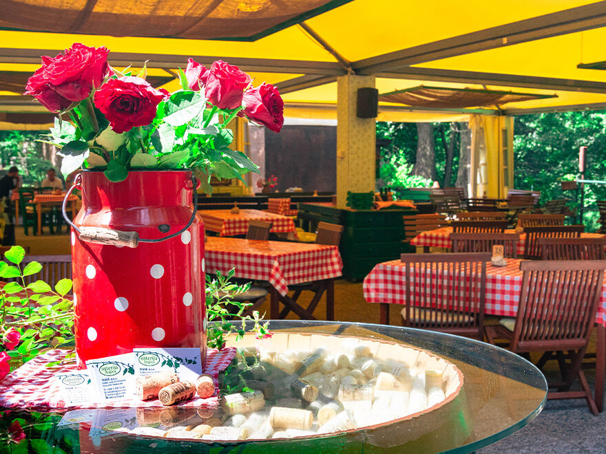 Letni vrt z razgledom Letni vrt z razgledom v čudovitem ambientu - Ošterija Žogica